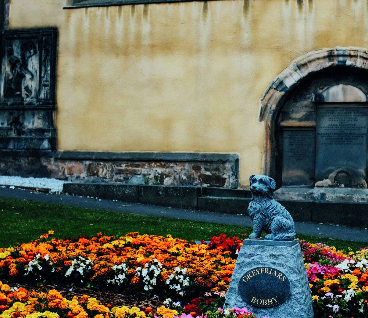 The statue of Greyfriars Bobby among marigolds beside the kirkyard wall
